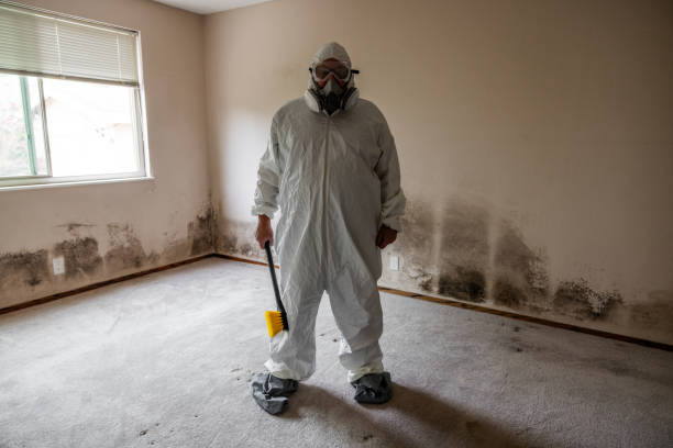 Best Mold Removal for HVAC Installations  in Elkins Rk, PA