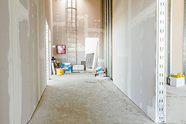 Dehumidification Services in Elkins Park, PA
